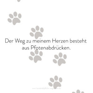 Hundehaftpflicht-Vergleichen-FunFact-3