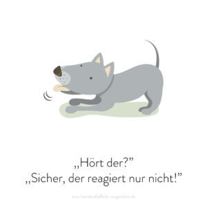 Hundehaftpflicht-Vergleichen-FunFact-5