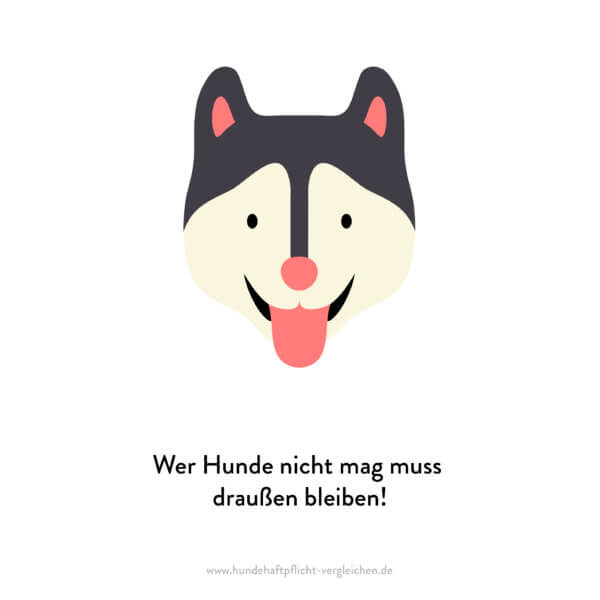 Hundehaftpflicht-Vergleichen-FunFact-7