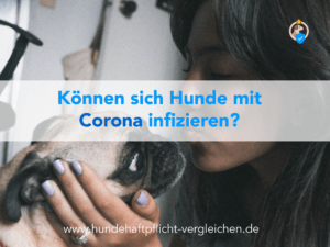 Corona Virus Hund