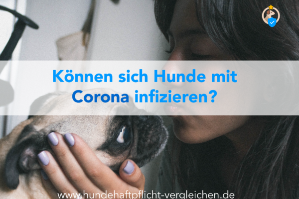 Corona Virus Hund
