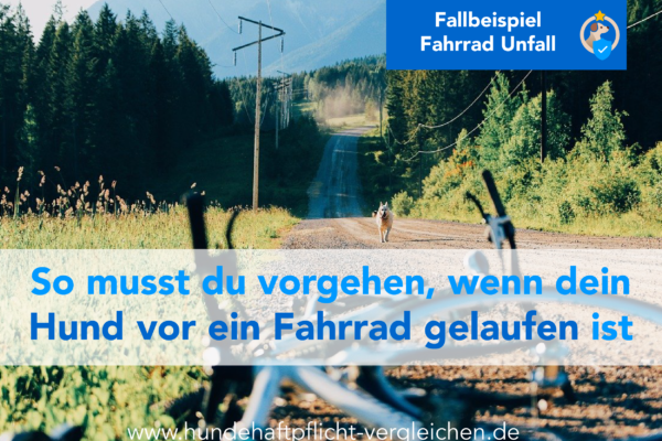 Hund_läuft_vor_Rad_Haftpflicht_Versicherung