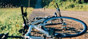 Haftpflicht Versicherung - Hund läuft vor Rad: Unfall