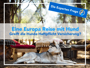 Europa Reise Hunde Haftpflicht