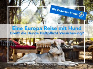 Europa Reise Hund versichern