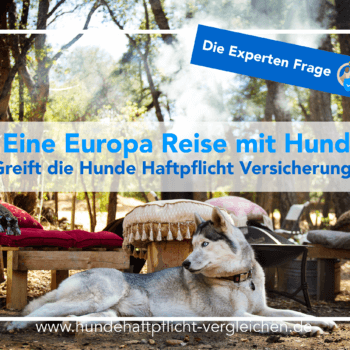 Europa Reise Hund versichern