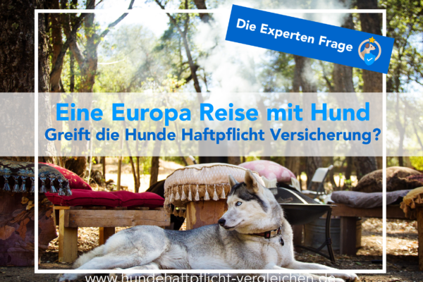 Europa Reise Hund versichern